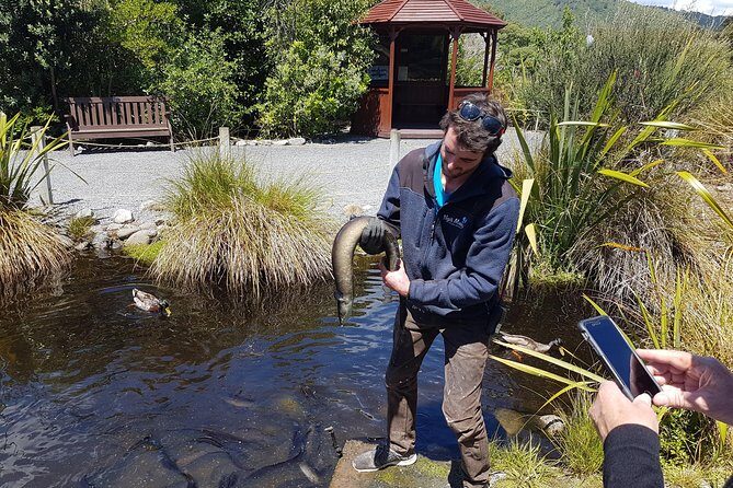 Private Kapiti Coast Full Day Tour - Plimmerton, Paekākāriki Hill Road Lookout, and the beaches of Paraparaumu