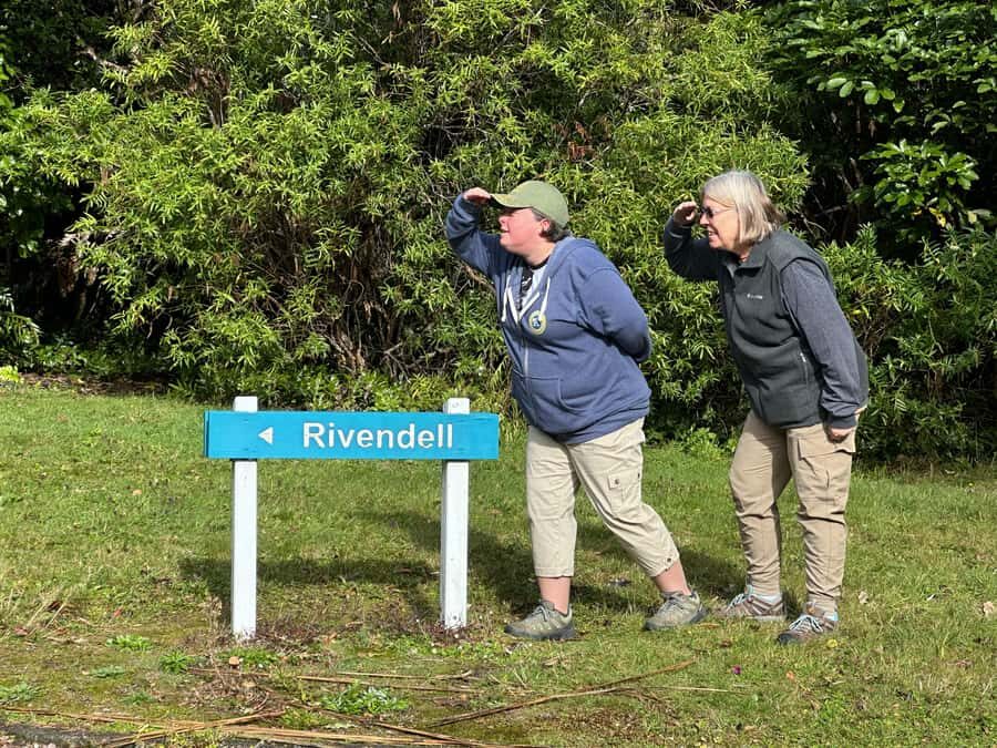 Private Lord of the Rings Tour Wellington with Lunch - Pickup in Wellington: how the morning flow works