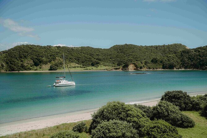 Private Luxury Sailing Catamaran Charter in the Bay of Islands - Comfort details that matter once you’re out there