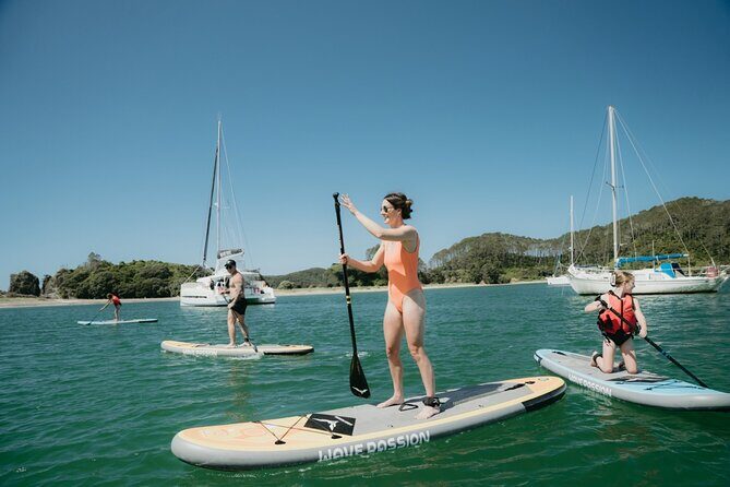 Private Luxury Sailing Catamaran Charter in the Bay of Islands - Wildlife spotting: the kind of day where surprises happen