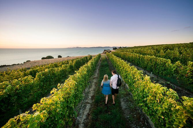 Private Marlborough Winery Tour - Key highlights worth planning around