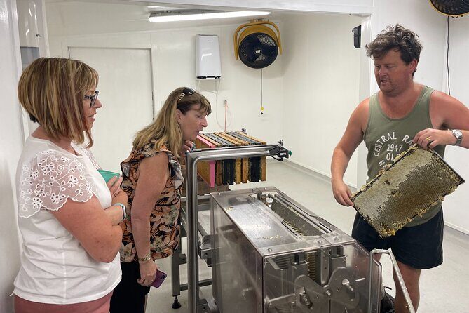 Private Martinborough Foodie Delights Tour from Wellington - C’est Cheese: sampling the brie you came for