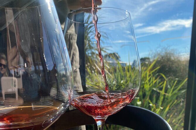 Private Martinborough Wine Tour for Wine Enthusiasts - Key points before you book