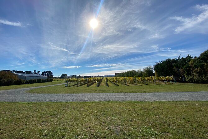 Private Martinborough Wine Tour for Wine Enthusiasts - Stop 3: Ata Rangi Martinborough vine walk and guided tasting