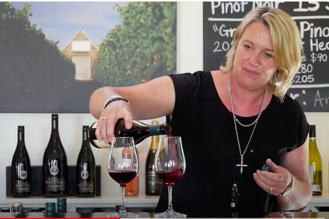 Private Martinborough Wine Tour in an Electric Vehicle - Tesla Model Y - The Runholder lunch: two courses plus a wine tasting tray