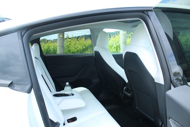 Private Martinborough Wine Tour in an Electric Vehicle - Tesla Model Y - Schubert Wines: a German-education story behind the glass