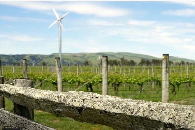 Private Martinborough Wine Tour in an Electric Vehicle - Tesla Model Y - Martinborough Wine Centre: browsing before you head back to Wellington