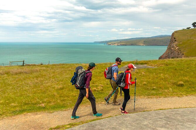 Private Mt Cook Day Tour From Christchurch via Lake Tekapo - Fairlie Bakehouse stop: a quick local reset