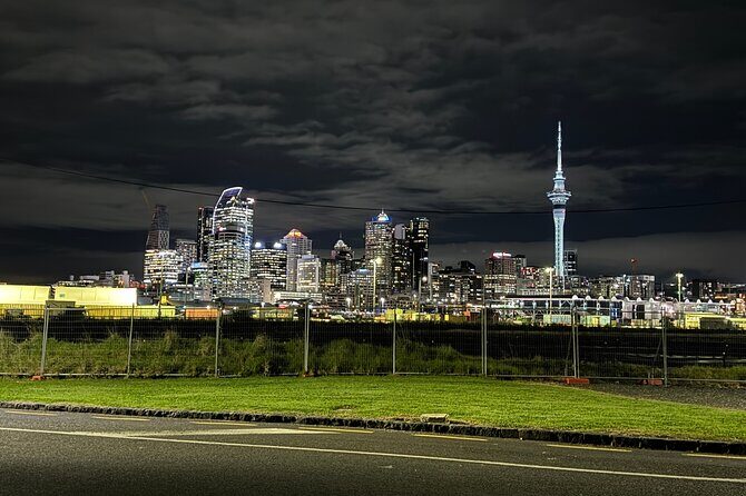 Private Night Tour of Auckland, Sky Tower Bar, Bridge & Museum - Auckland Domain and the Museum Lights: What You Can See Without Indoor Entry