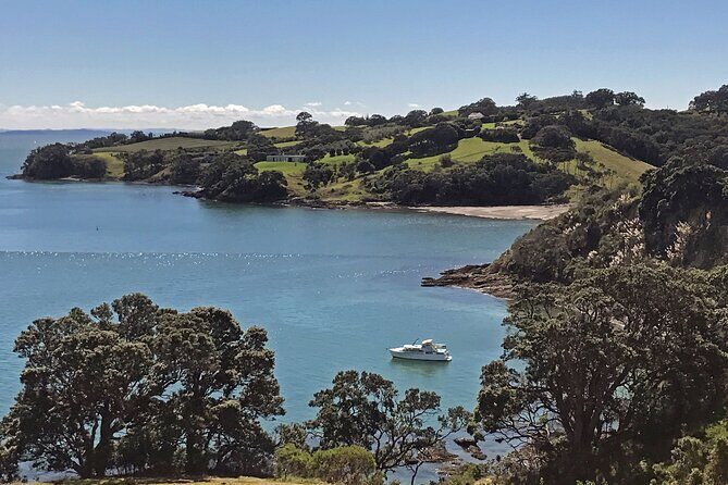 Private Personalised Tour in Waiheke Island - Key things I’d prioritise on this Waiheke private tour