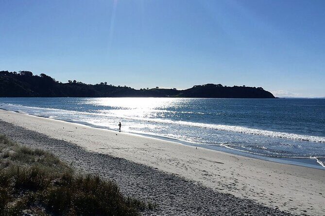 Private Personalised Tour in Waiheke Island - Waiheke Island exploration: where the real value is