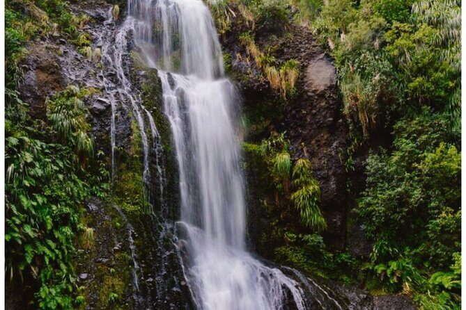 Private Piha Beach, Rainforest Adventure & Mt. Eden with Guide - The big idea: why this 5-hour loop works so well
