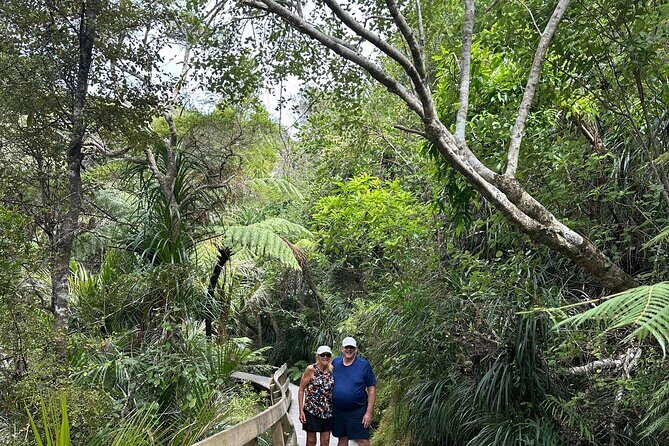 Private Piha Beach, Rainforest Adventure & Mt. Eden with Guide - Kitekite Falls: multi-tier waterfall time in the rainforest