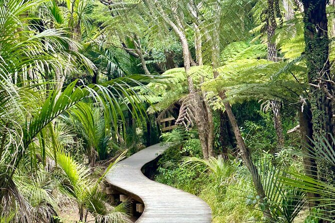 Private Piha Beach, Rainforest Adventure & Mt. Eden with Guide - Arataki Visitor Centre: set your bearings over twin harbors