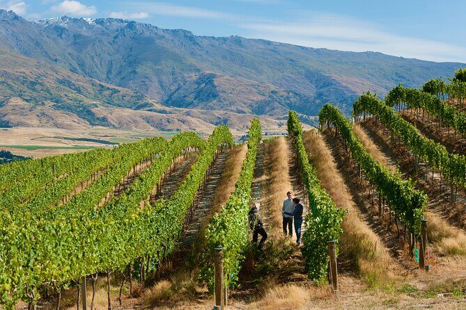 Private Queenstown Wine Tour All-Inclusive Tour - Your 5.5–7 Hour Route Through Central Otago