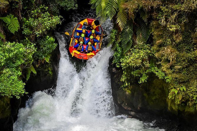 Private Rotorua Tour from Tauranga (Max 11) - Redwoods and Whakarewarewa Forest: where walking paths feel like a breather
