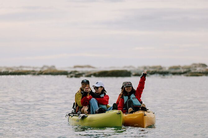 Private Seal Kayaking and Wildlife Tour in Kaikoura - Stop 2: Kaikoura Peninsula Walkway views from the ocean