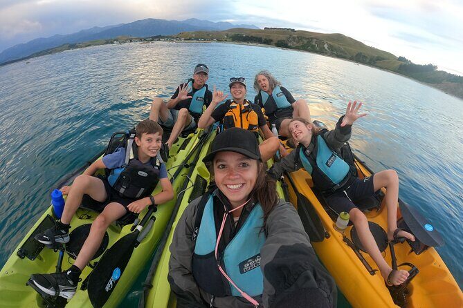 Private Seal Kayaking and Wildlife Tour in Kaikoura - Hands-free pedal kayaking: the comfort and the tradeoff