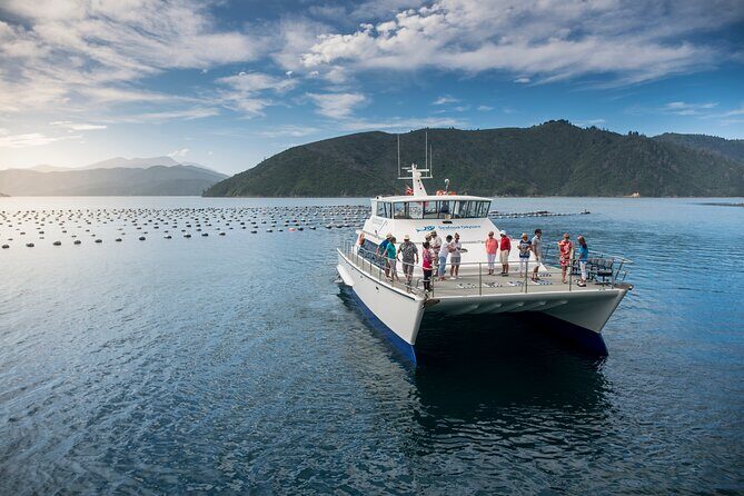 Private Shore Excursion: Explore Marlborough from Picton - Picton Port to Marlborough’s Wairau Valley: The Real Value Is Time