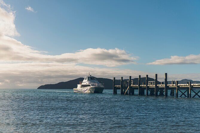Private Shore Excursion: Explore Marlborough from Picton - Included Tastings, Snacks, and Chocolate: Where the Money Actually Goes