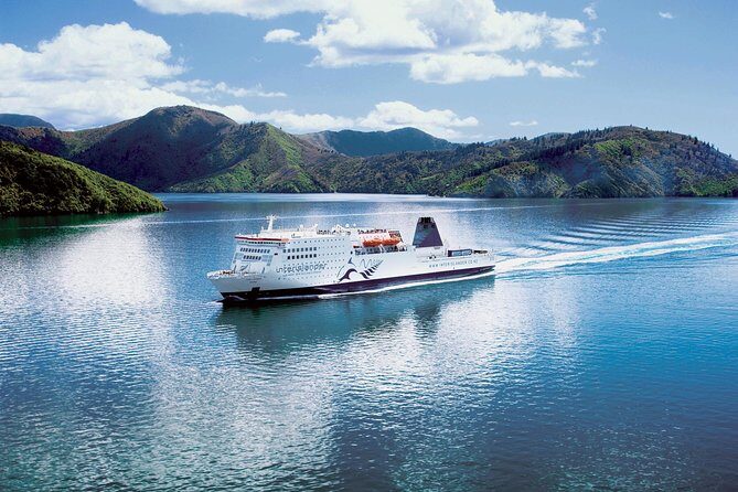 Private Shore Excursion: Explore Marlborough from Picton - Timing Tips for a 10:00 am Start and 4–6 Hour Window