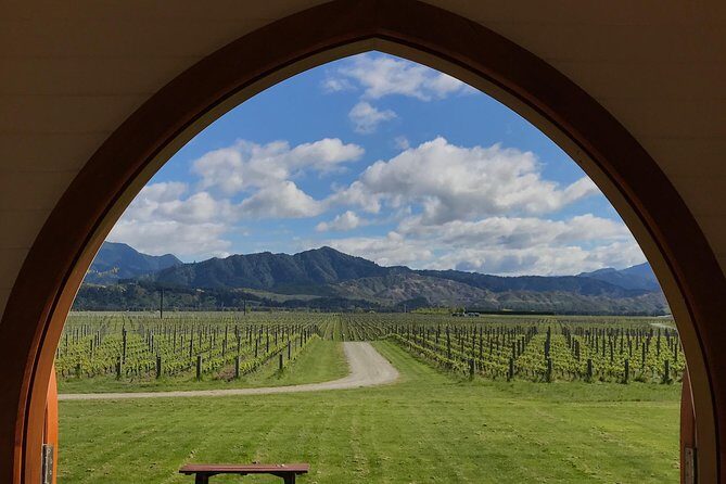 Private Shore Excursion: Explore Marlborough from Picton - Private Chauffeur and Your Group-Only Day (with Pamela)