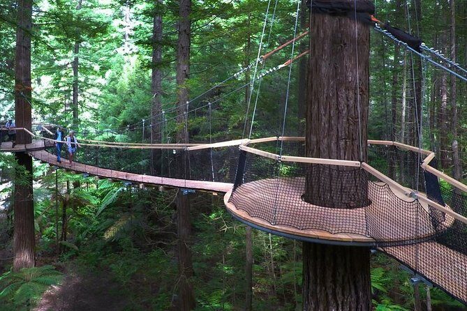 Private Tauranga Day Trip-Rotorua Geysers & Canopy Tree Walk. - Quick hits before you book