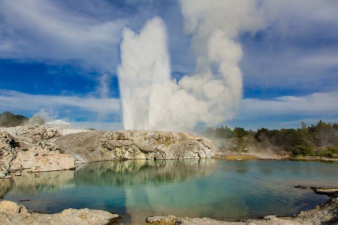 Private Tauranga Day Trip-Rotorua Geysers & Canopy Tree Walk. - The surf beach stop and Rotorua scenic highlights (where time management matters)