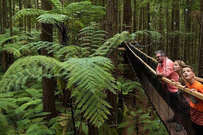 Private Tauranga Day Trip-Rotorua Geysers & Canopy Tree Walk. - What about tickets? Admission on the day, paid by card