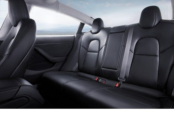 Private Tesla Transfer: Auckland, Tauranga, Rotorua, Taupo - What You Actually Get: One-Way Private Transfer Done Right