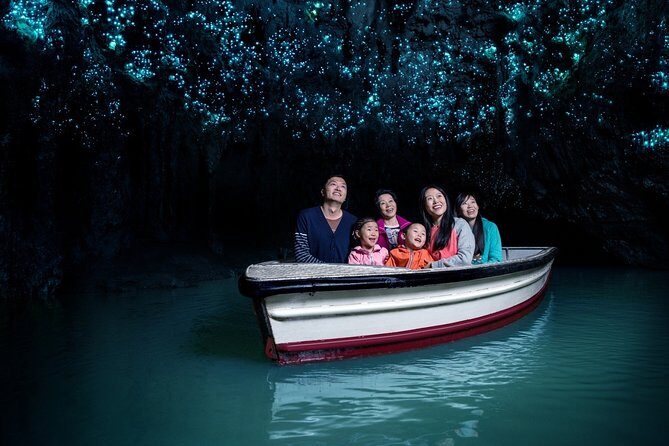 Private Tour [2 Days]: Auckland to Waitomo Caves, Rotorua, Te Puia & Wai-O-Tapu - Key things I’d plan around before you go
