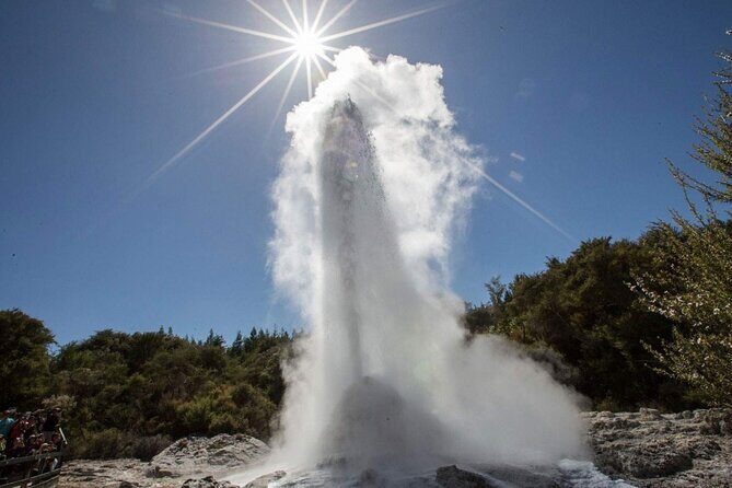 Private Tour [2 Days]: Auckland to Waitomo Caves, Rotorua, Te Puia & Wai-O-Tapu - Rotorua’s Te Puia geothermal valley: Pohutu Geyser, Māori performance, and hangi lunch