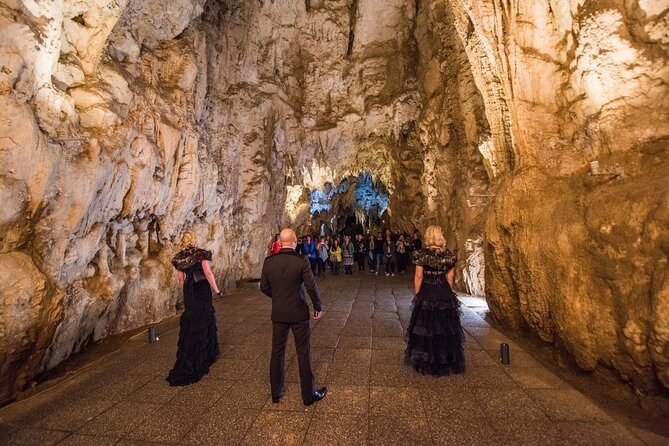 Private Tour [2 Days]: Auckland to Waitomo Caves, Rotorua, Te Puia & Wai-O-Tapu - Wai-O-Tapu Thermal Wonderland: Lady Knox, Champagne Pool colors, and Devils Bath
