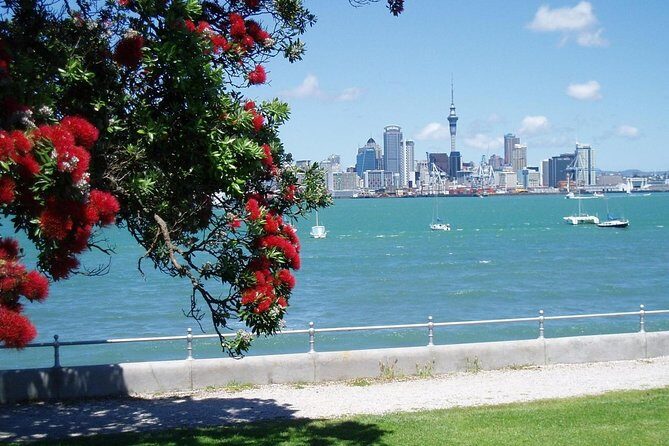 Private Tour: Auckland City and Countryside Tour - Parnell Rose Gardens: a calm start with good photo light