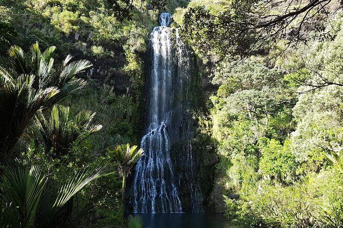 Private Tour: Auckland City and Countryside Tour - Mt Eden: the short climb that delivers big-city scale