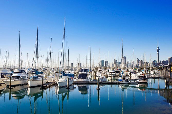 Private Tour: Auckland City and Countryside Tour - Rangitoto Island and Waitemata Harbour viewpoints: why this tour is worth it