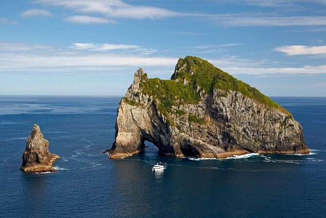 Private Tour: Bay of Islands Day Trip from Auckland - Key Points to Know Before You Go