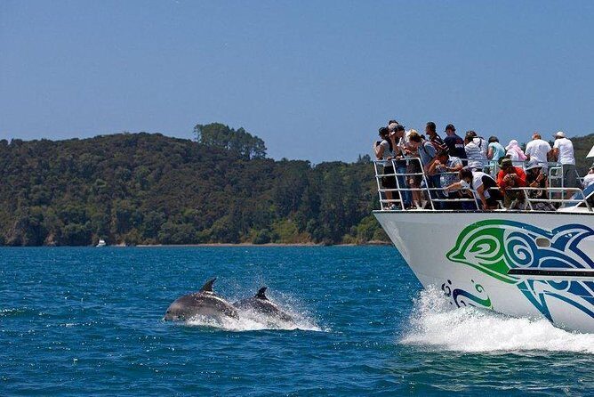 Private Tour: Bay of Islands Day Trip from Auckland - The 7:30am North Drive: Time, Comfort, and Sanity Checks