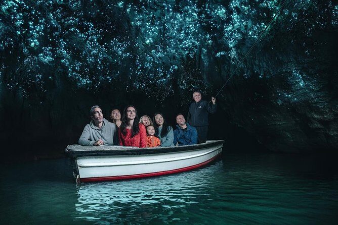 Private Tour: Bay of Islands Day Trip from Auckland - Paihia Harbour and the Hole in the Rock Dolphin Cruise Option