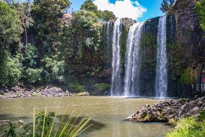 Private Tour: Bay of Islands Day Trip from Auckland - Price and Value: NZ$578.99 Per Person Meets Real Costs