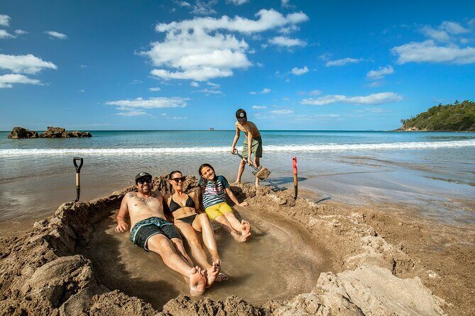 Private Tour - Coromandel Beach, Caves & Forest - Coromandel Coast private day from Auckland: early start, tight plan, real comfort