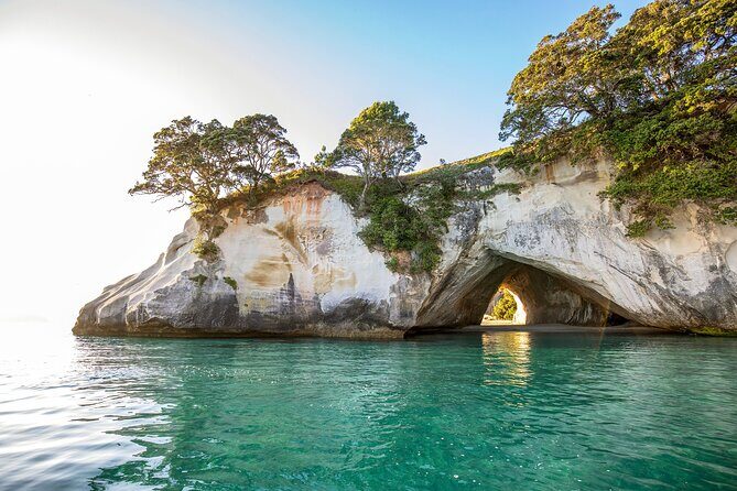 Private Tour - Coromandel Beach, Caves & Forest - Cathedral Cove boat cruise and the sea-cave Narnia moment