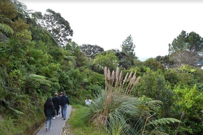Private Tour - Coromandel Beach, Caves & Forest - Lunch, WiFi, and a calm 12-hour rhythm (instead of stress)