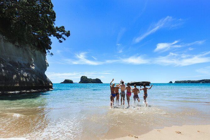Private Tour - Coromandel Beach, Caves & Forest - Price and value: what $589.54 per person really buys you