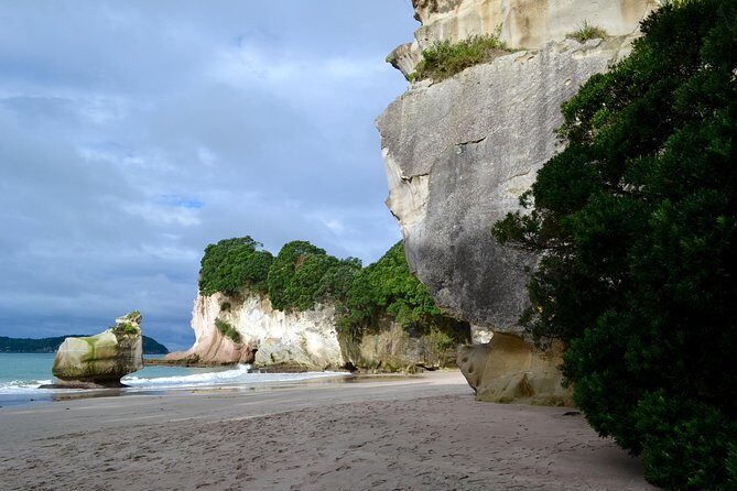 Private Tour - Coromandel Beach, Caves & Forest - FAQ