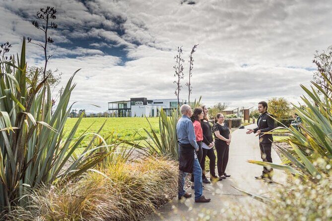 Private tour from Auckland - Waitomo Glowworm Caves, Zealong Tea & Kiwi Bird - Key points before you go