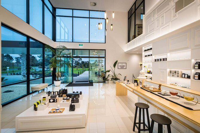 Private tour from Auckland - Waitomo Glowworm Caves, Zealong Tea & Kiwi Bird - Otorohanga Kiwi House: seeing kiwi, tuatara, and more