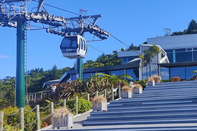Private Tour: Hobbiton Movie Set, Rotorua Mud Pool & Treewalk - FAQ
