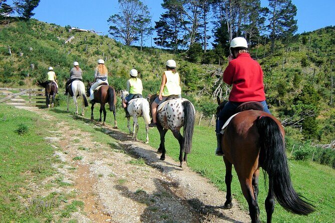 Private Tour - Horse Riding, Wine Tasting and Art Trail - Price and value: is $465.43 per person worth it?