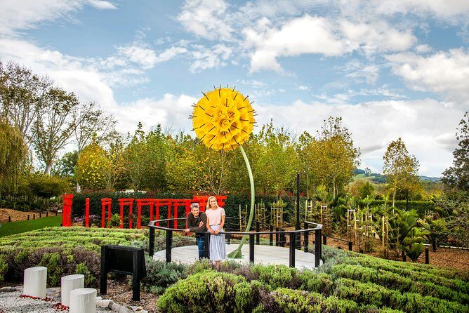 Private tour - Matakana Art & Wine Village - Key things to know before you go